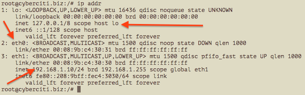 Fig.01 Showing IP address assigned to eth0, eth1, lo using ip command